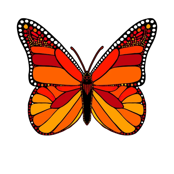 Test Blog Post 3